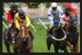 /album/photogallery/sbobet-racebook-jpg/